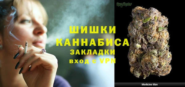 мдпв Медногорск