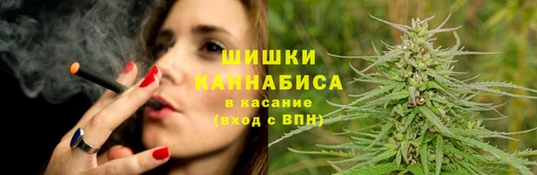 шишки Мегион