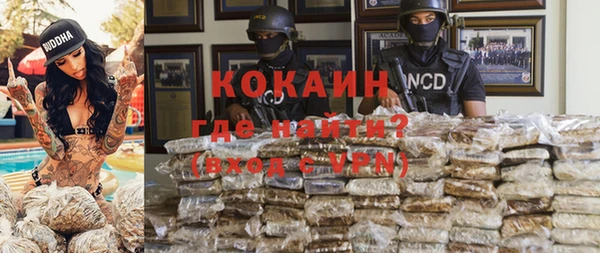 шишки Мегион