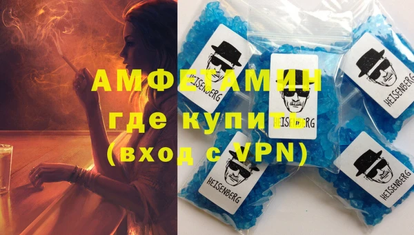 шишки Мегион