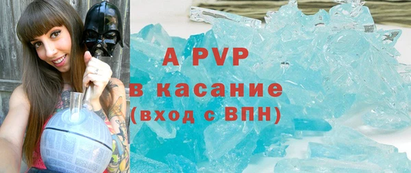 шишки Мегион