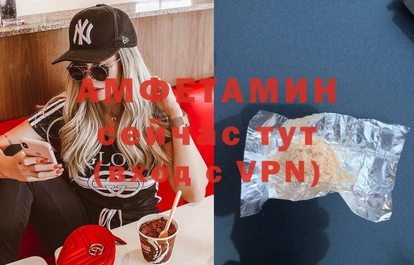 шишки Мегион