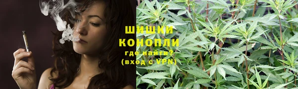 мдпв Медногорск