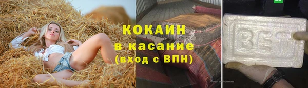 шишки Мегион
