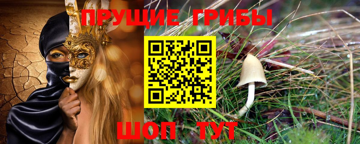 закладка  Вход с VPN  Псилоцибиновые грибы мухоморы  Партизанск  Галлюциногенные грибы мицелий 