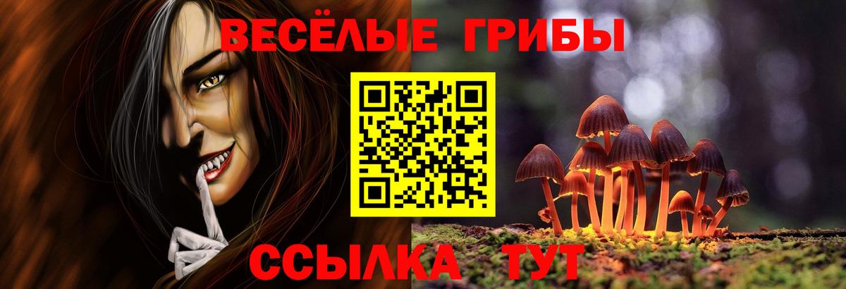 Псилоцибиновые грибы MAGIC MUSHROOMS  Партизанск 